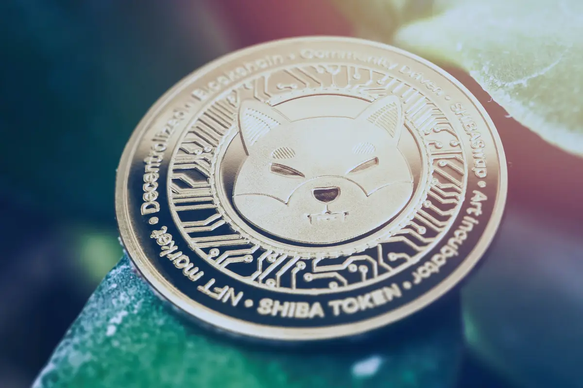 Significant Shiba Inu Price Surge Coinpayments Media