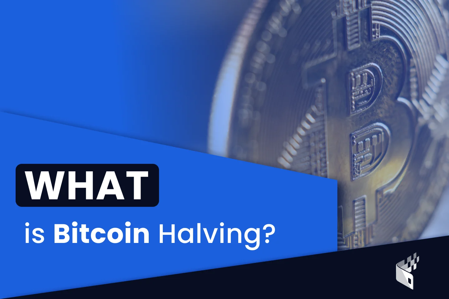 What Is Bitcoin Halving: A 101 Guide | CoinPayments Media